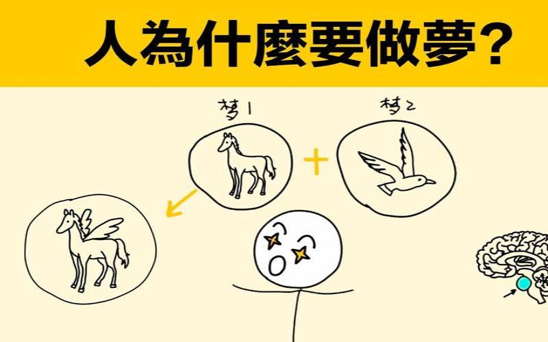 梦是什么科学解释（人做梦是什么原理）