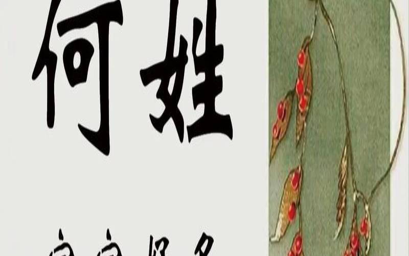 何姓女宝宝取名大全集免费（何姓男孩取名大气点的）