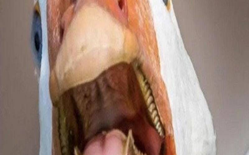 梦见鹅咬自己是什么意思（鹅受到惊吓有什么症状）