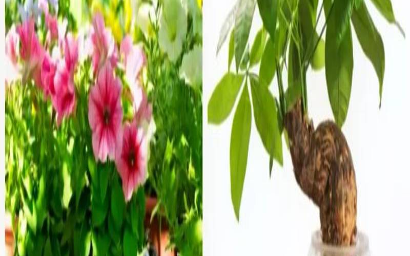 测2021会发生什么好事（测你会迎来什么奇迹）