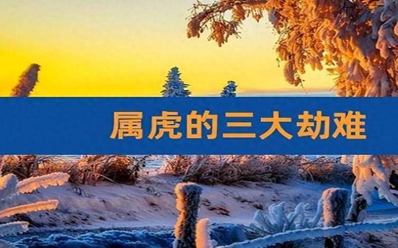 98年属虎的三大劫难（98属虎三大灾难）