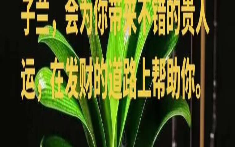 属羊人的风水发财图片大全（属羊的怎么旺自己的财运）