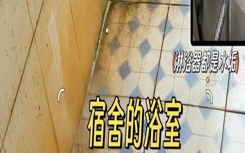 女人梦到公厕无处下脚（做梦卫生间很脏大便多）