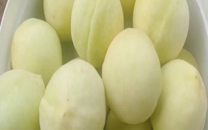 梦到了吃桃子是什么意思（梦见自己吃桃子又大又甜）