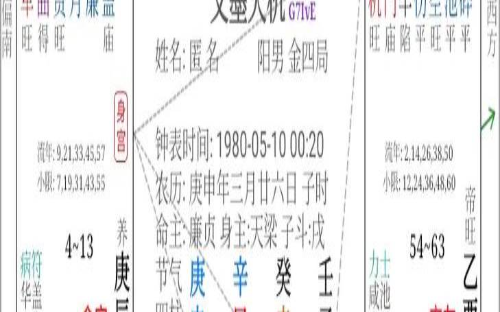 天梁星在田宅宫旺（田宅宫有天梁住房条件）