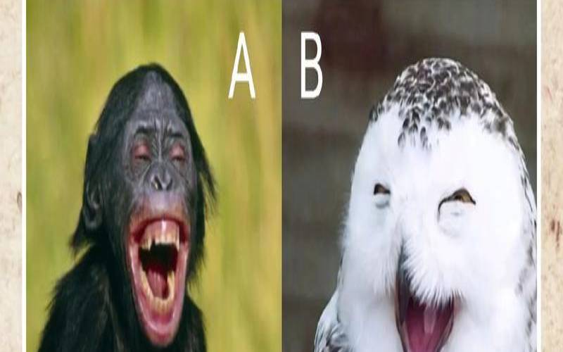 测职场你会遇见哪种小人呢（测测你能躲过小人吗）