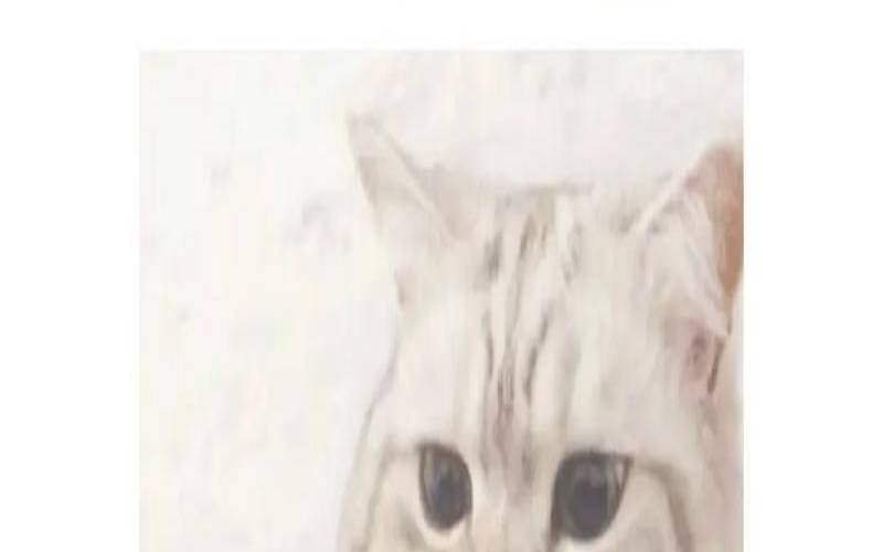 9月16日是什么星座（摩羯座对待工作的态度）