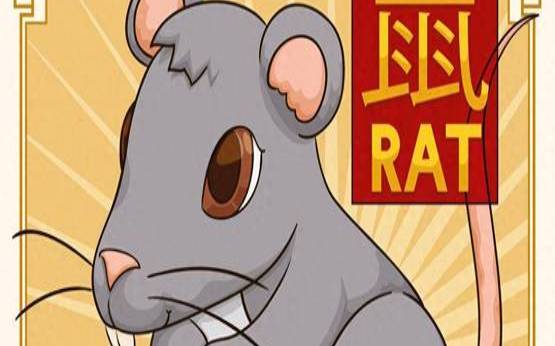 属虎人二零一九年全年运势（2020年属鼠人的全年运势）