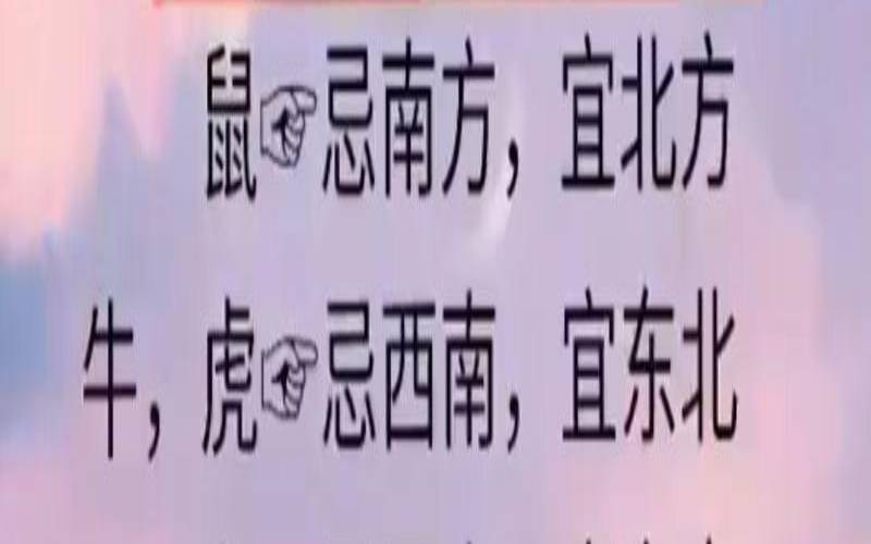 属龙人适合做的工作（属龙人与属虎人工作合适吗）