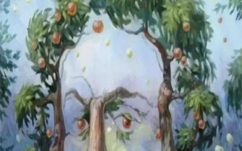 测试他眼中的你（测他眼中的你）