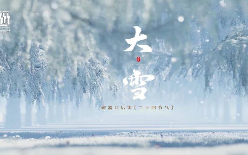 大雪节气出生的女孩（大雪节气出生的女孩好吗）