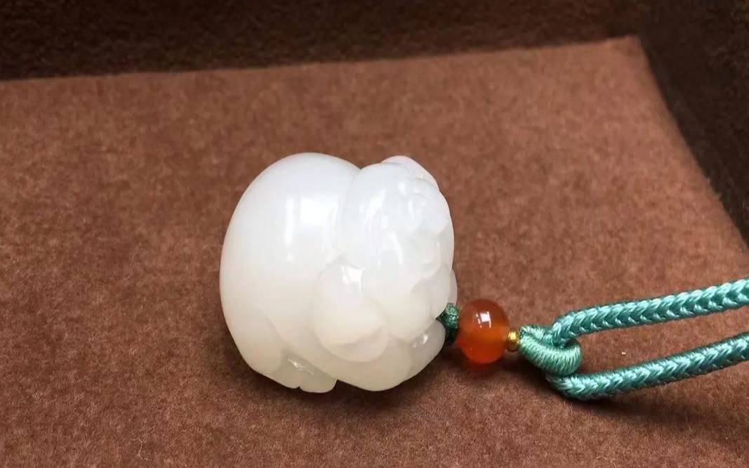 1月份属猪好不好（猪佩戴什么生肖最好）