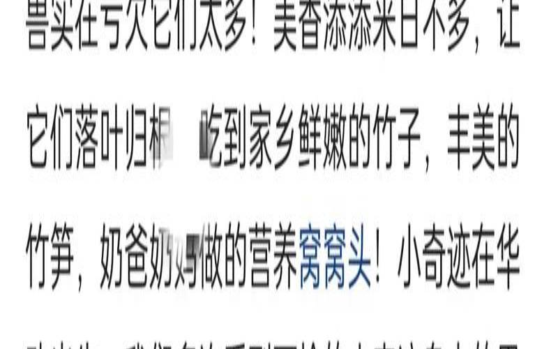 世界那么大还能预言（测你会迎来什么奇迹）