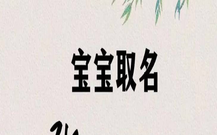 虎年张姓男孩取名（新生儿男孩名字）