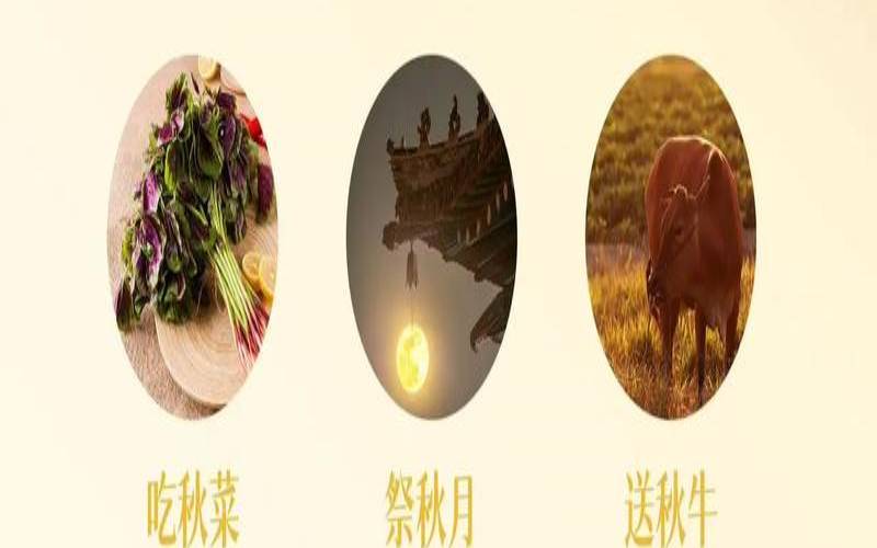 秋分出生的男孩命运（秋分当天出生的男孩命运）