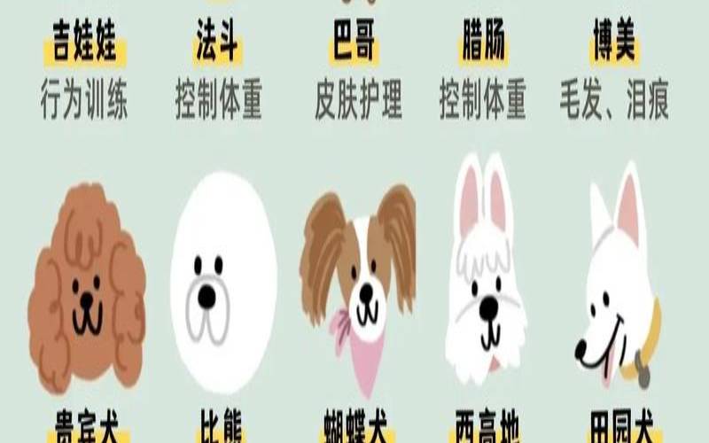 生肖不适合养狗的原因（离我最近的养狗基地）