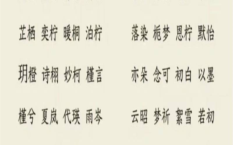 2023年女孩取名名字大全（202女孩子的名字）