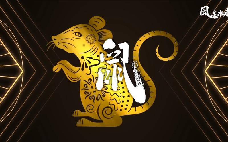 鼠2024必有大凶（鼠2024必有大凶怎么破解）