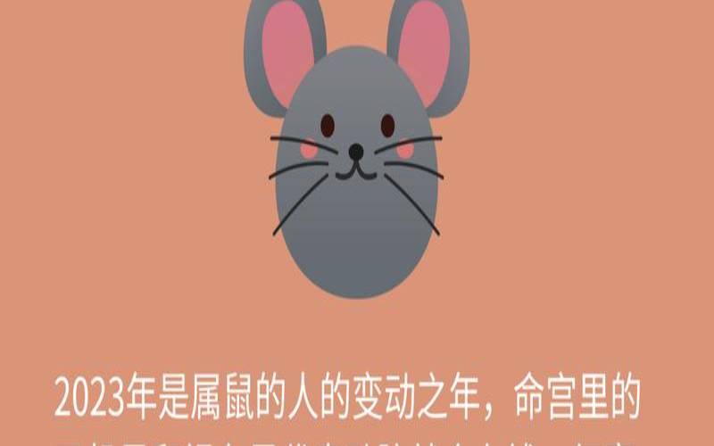 2023年属鼠人的全年财运怎么样（2023年属鼠运势及运程）