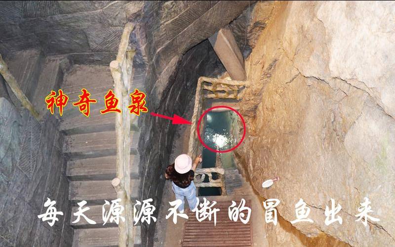 梦见宝藏是什么意思（女人梦见土里挖出宝藏）