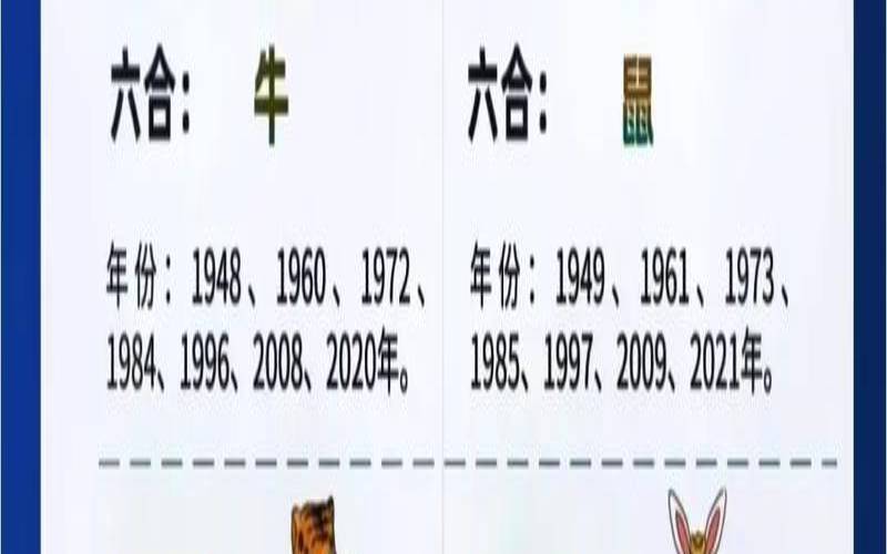 十二生肖事业搭档（十二生肖工作搭档）