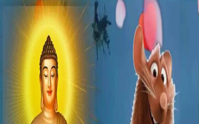 72年属鼠人性格（1996年属鼠男孩的爱情运）