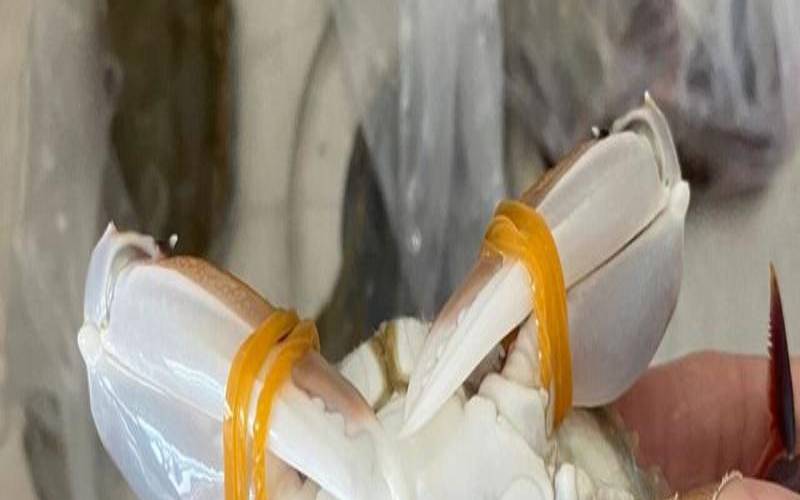 梦见被螃蟹夹是什么意思（梦见被螃蟹夹住不放）