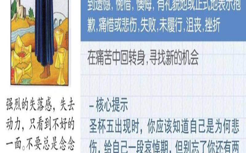 圣杯八正位未来发展（圣杯五逆位爱情）