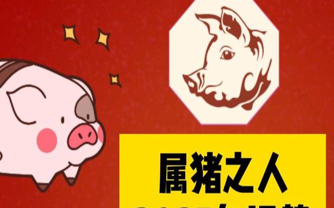 2014年猪的运势（71猪2025全年运势）