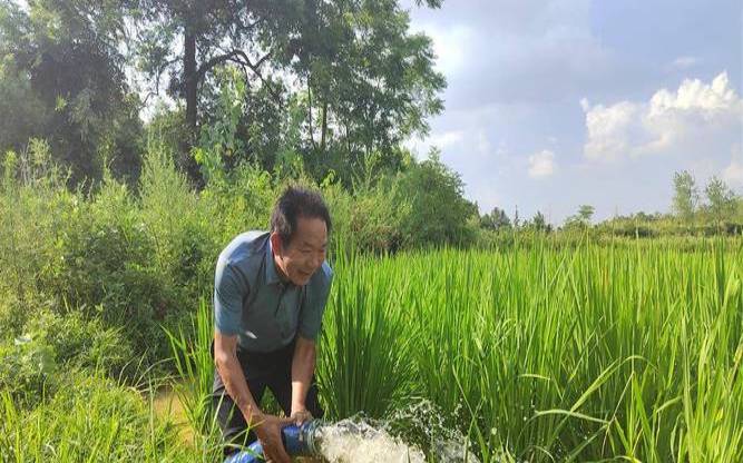 梦到浇水灌溉田地（男人梦见浇水灌溉农田）