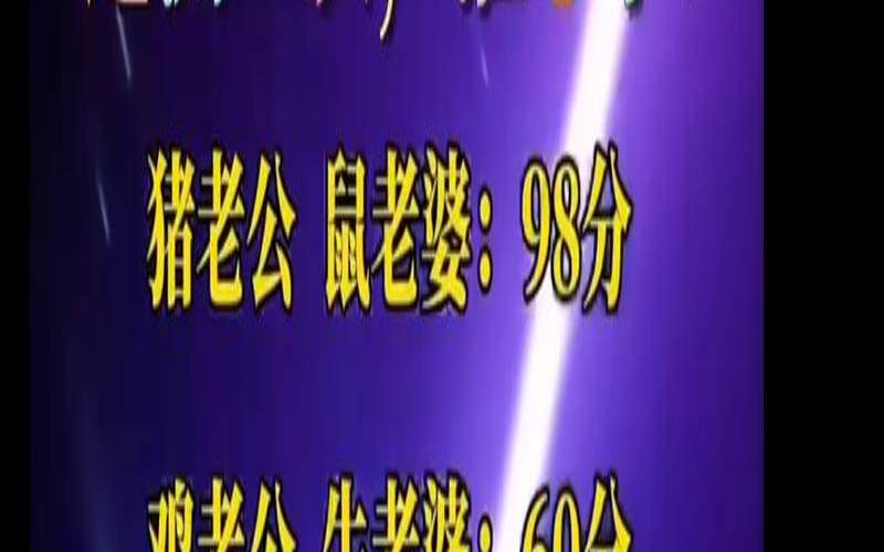 老鼠和鸡的婚姻配吗（老鼠跟鸡合得来吗）