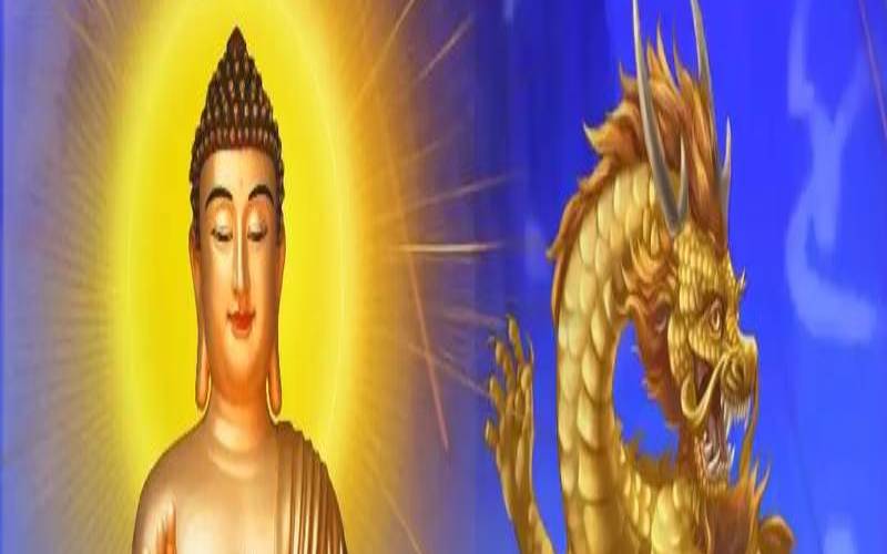 属龙欠多少阴债（属龙人做什么生意）