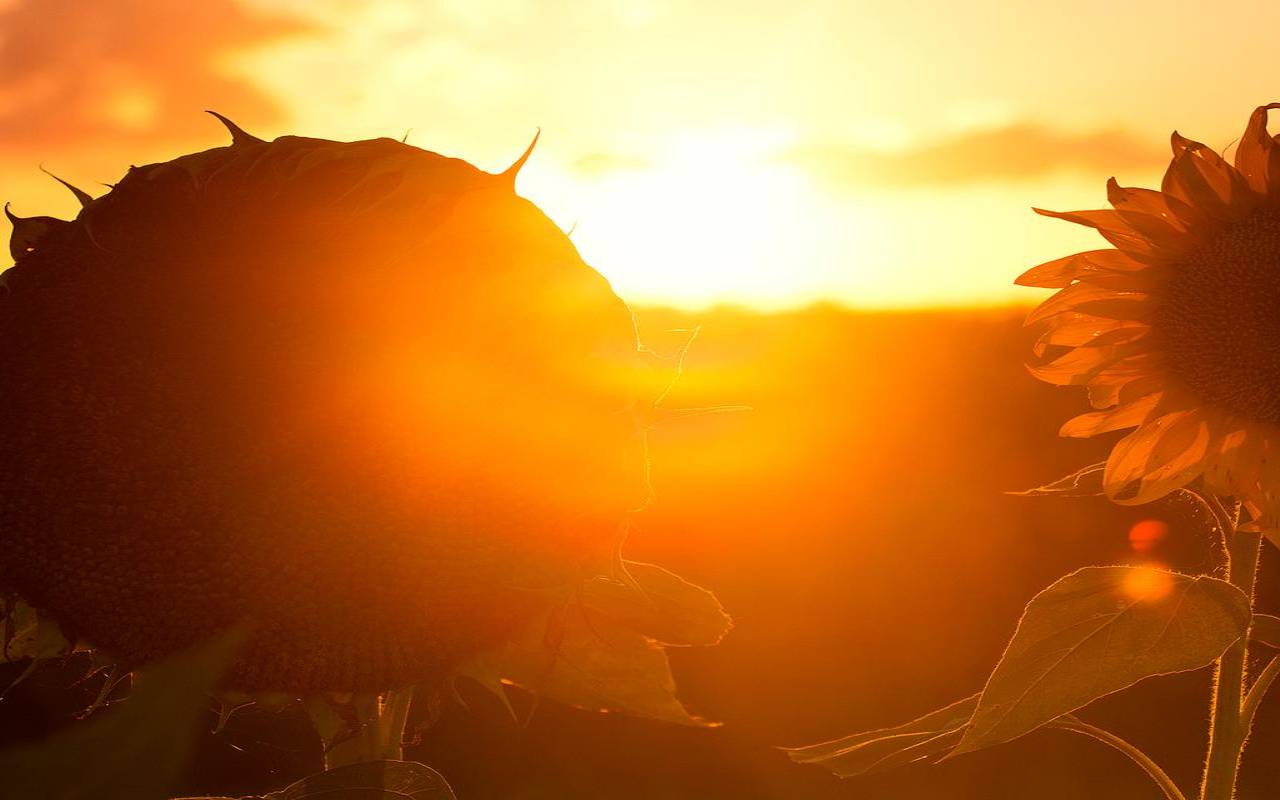 梦见自己光着腚好不好（做梦没有画面只有意识）