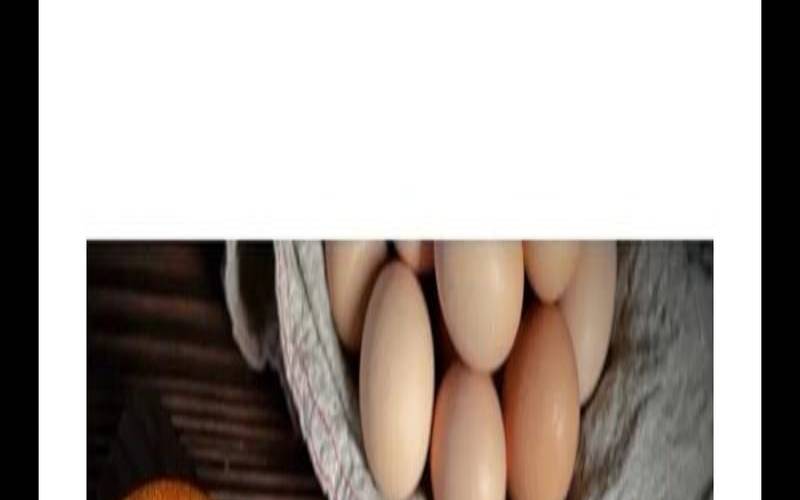 五行补金最快的方法（五行缺金吃哪些食物）