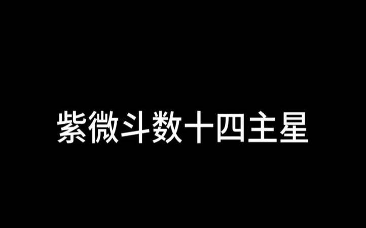 14主星的面试大忌（十四主星的相貌）