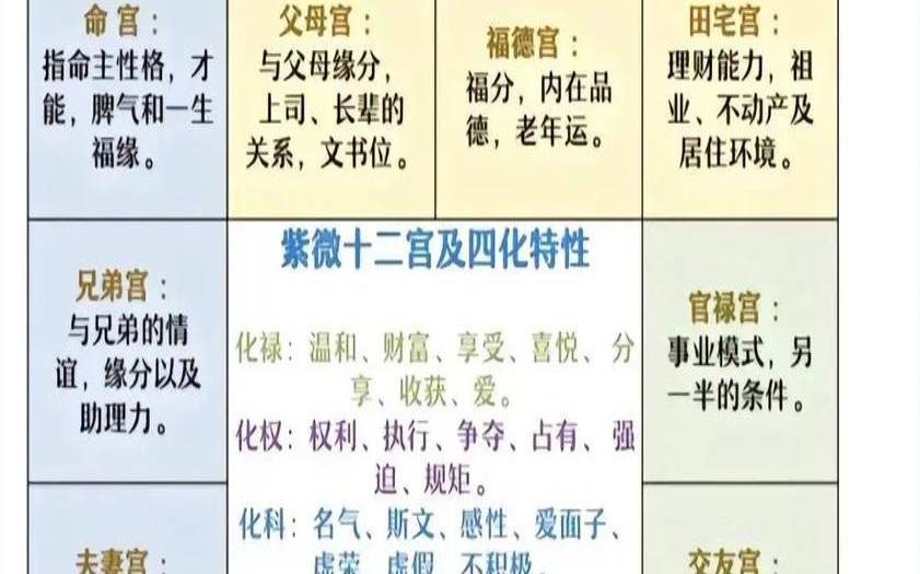 紫微斗数十二宫关系（紫微斗数十二宫详解）