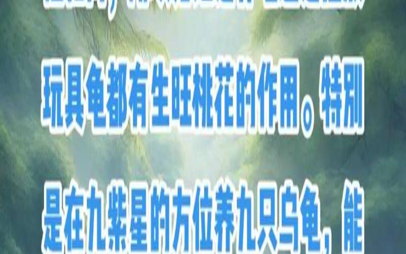 紫微斗数的桃花星（桃花旺的男人下场）