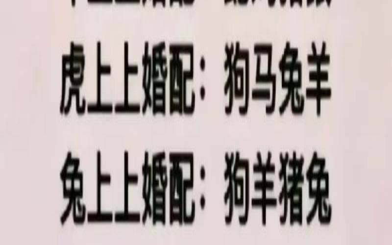 兔男配什么生肖结婚最好（属狗不能和什么生肖配）