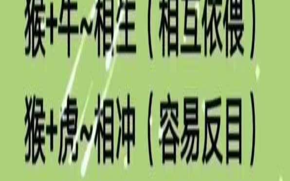 生肖猴和什么生肖相生（十二生肖猴和什么最配）