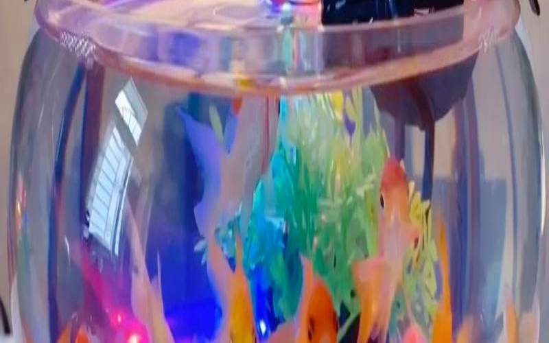 鱼缸旁边放什么花招财（鱼缸里放什么聚财）