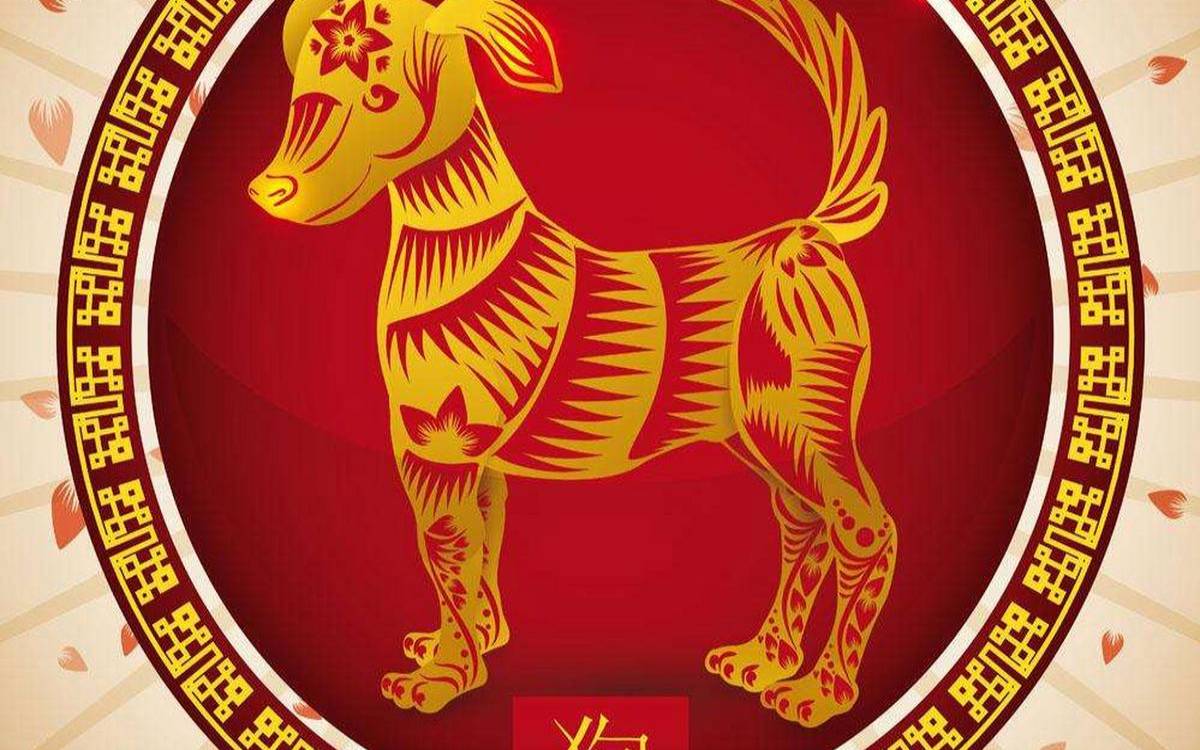 1994年今年多大了2021（94年女狗适合做什么事业）