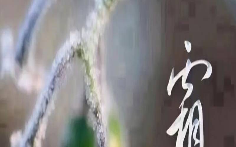 2020年霜降前生娃好吗（霜降前生娃还是后生娃）