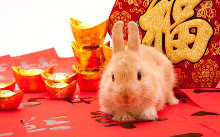 比怒骂这些生肖的沉默更伤人（沉默比发飙更可怕的星座）