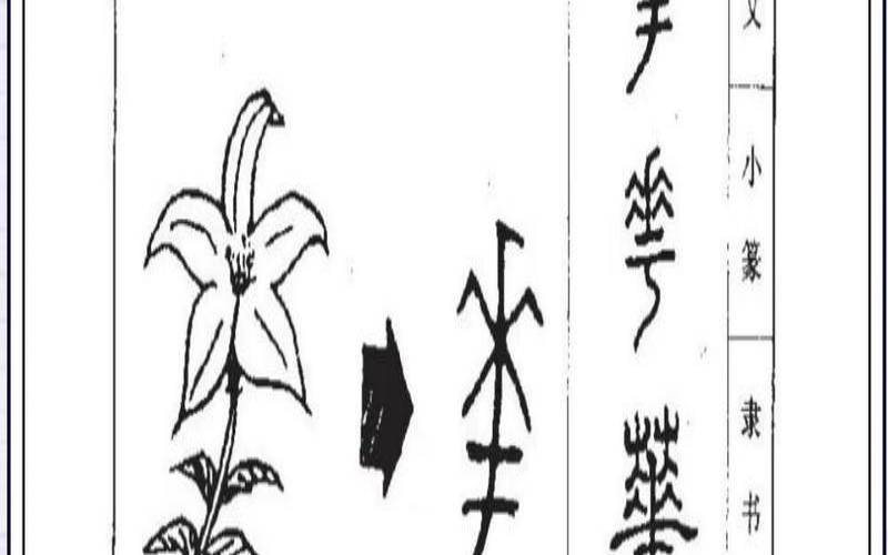 姓名学名字结构（名字的结构什么样最好）