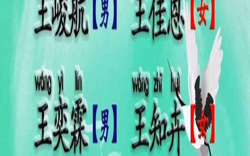 姓公的男孩名字大全四个字（2023年属兔取名宜用字）