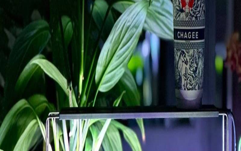 78年属马的人养几条鱼好（属马的鱼缸放什么位置）