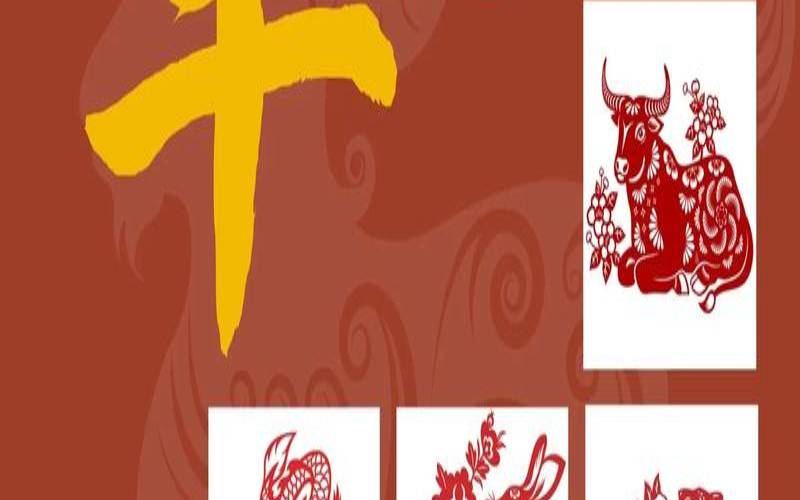 属羊女聪明吗（最有心计的聪明的属羊女）