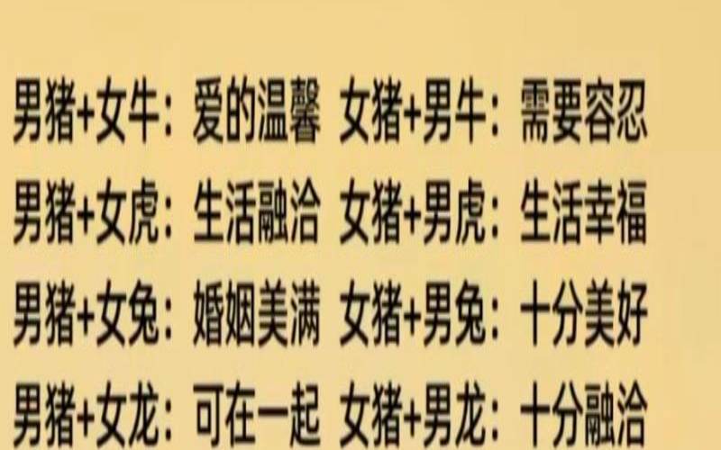 12生肖最佳姻缘配对顺口溜（属猪婚姻最佳生肖配对）