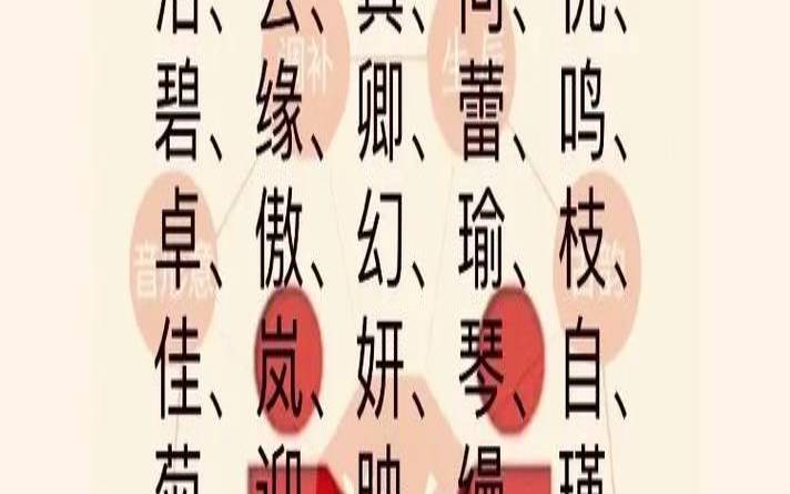 2021年牛年宝宝带泽的名字（属兔的男孩子取名字）