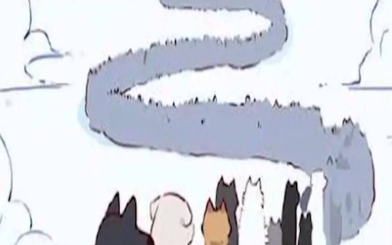 梦到自己养了一条小狗死了（梦见养的狗狗死了）